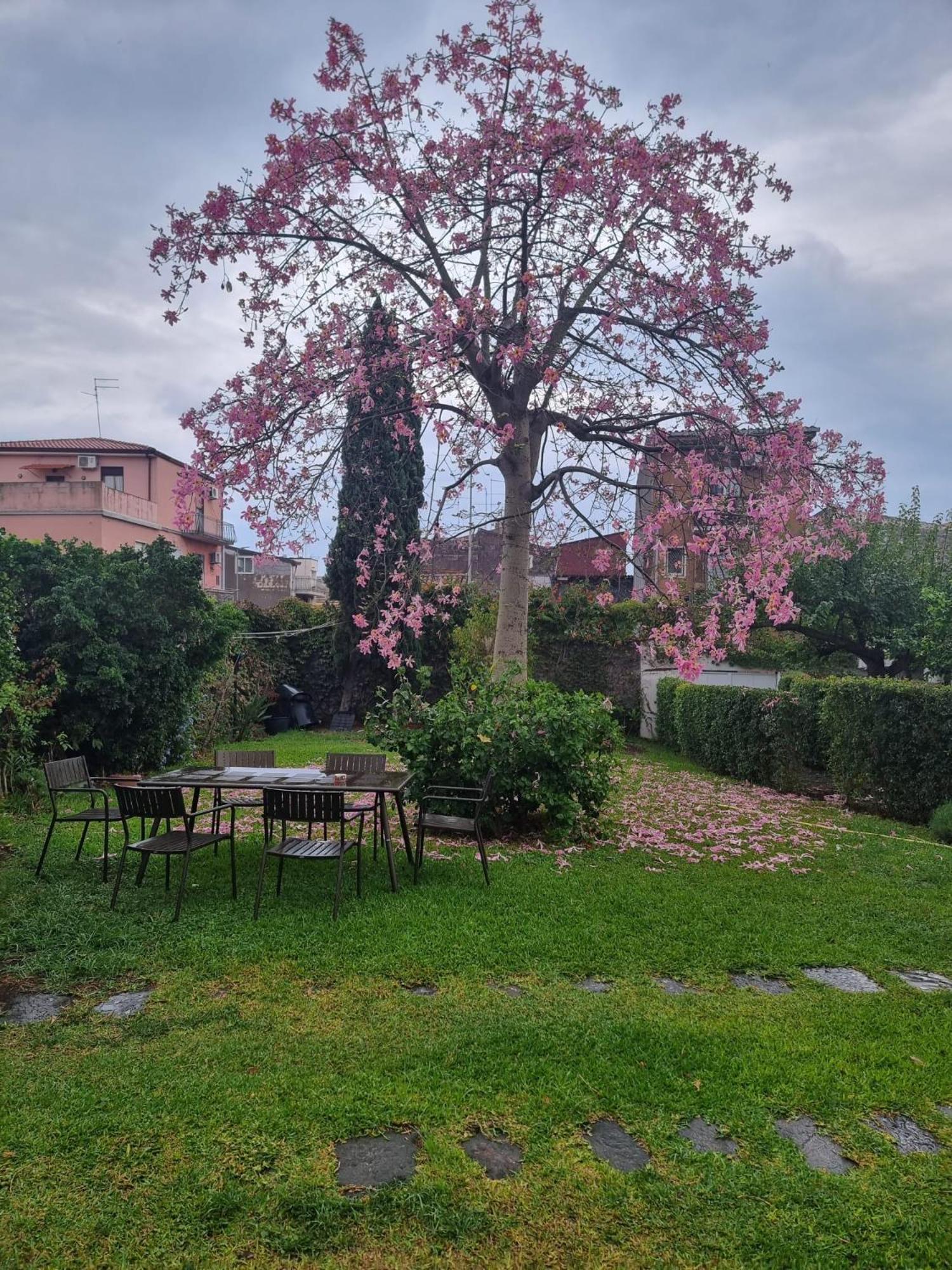 A Casa Nostra * Aeroporto di Catania Fontana Rossa