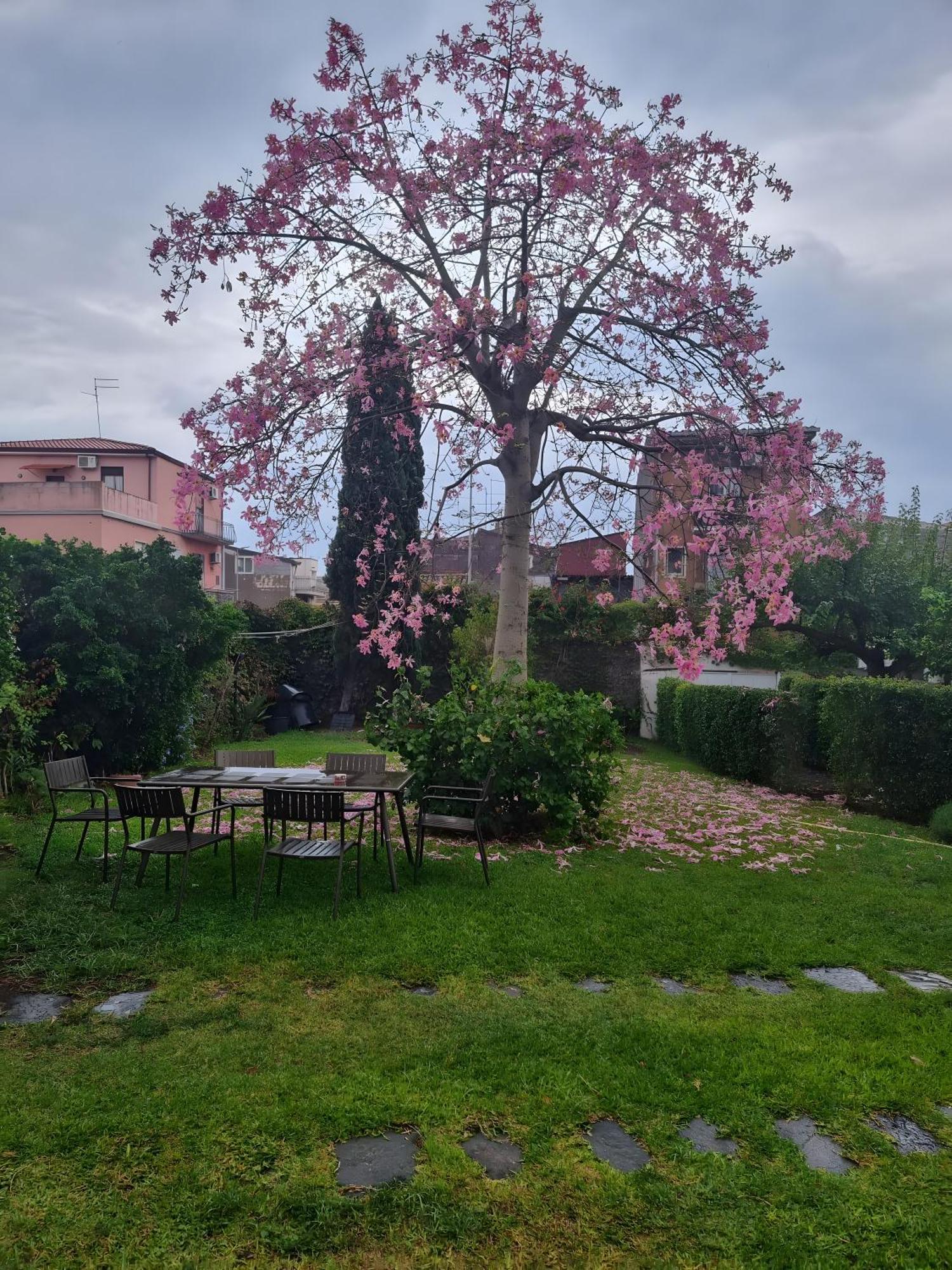 A Casa Nostra